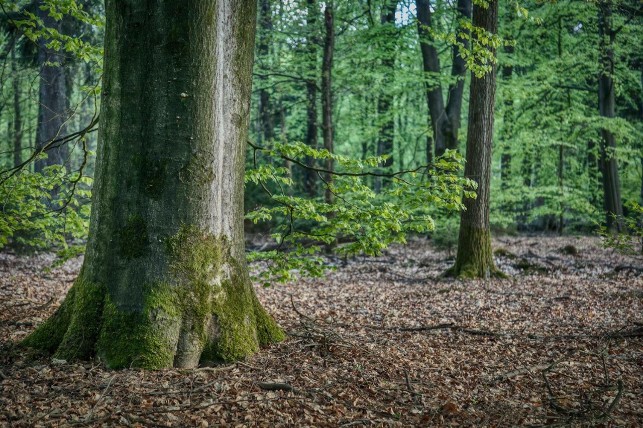 Van Abelshoeve Gieterveen Luaran gambar